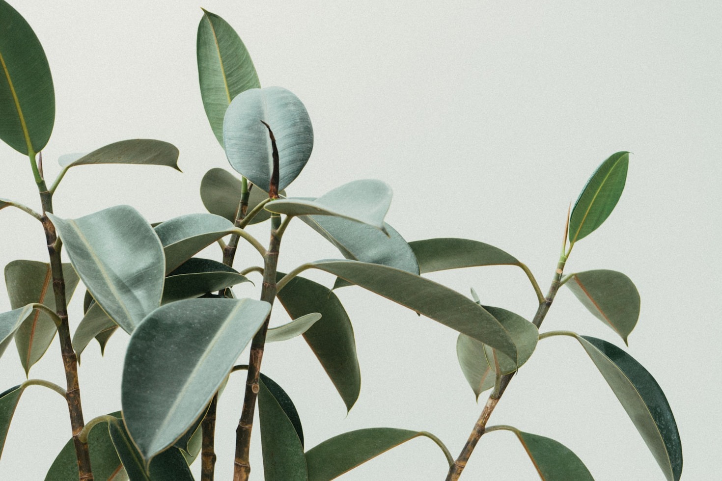 Seasonal Skincare: Adjusting to Nature’s Rhythms